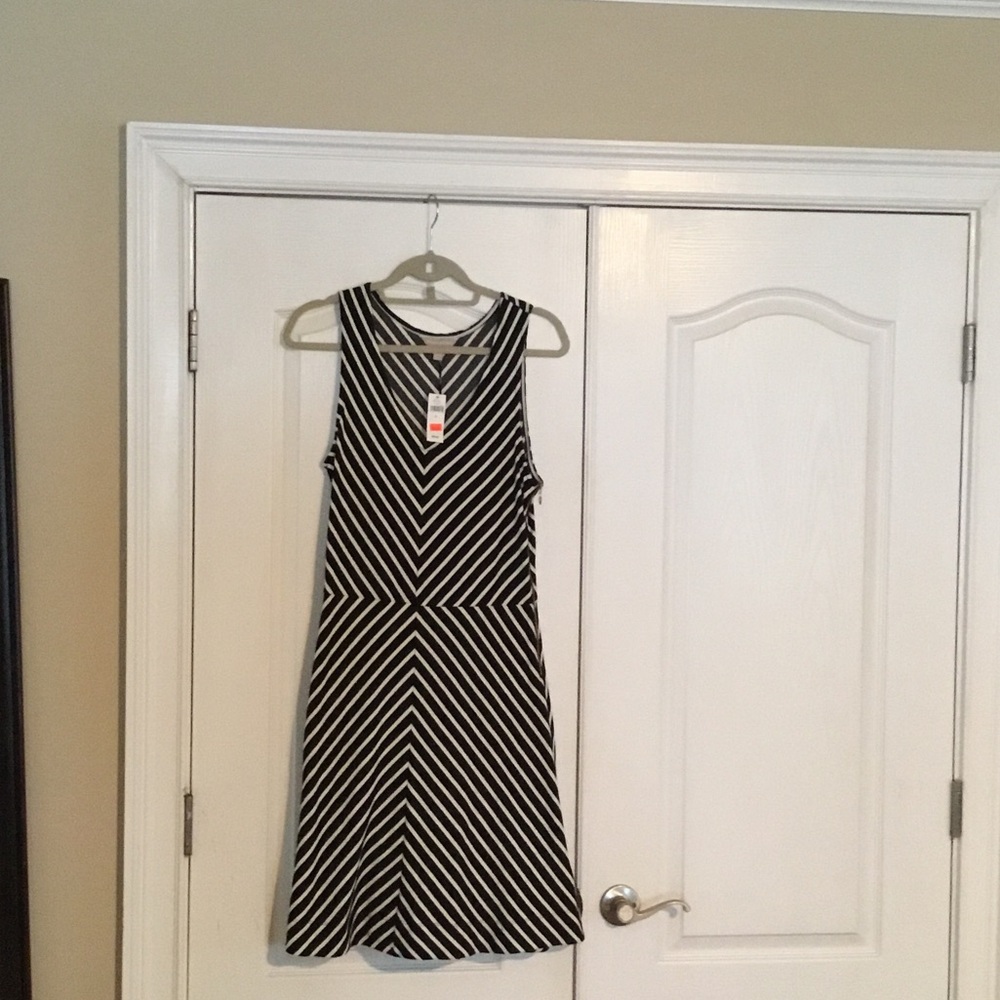 Banana Republic Black and White Striped Maxi Dress
